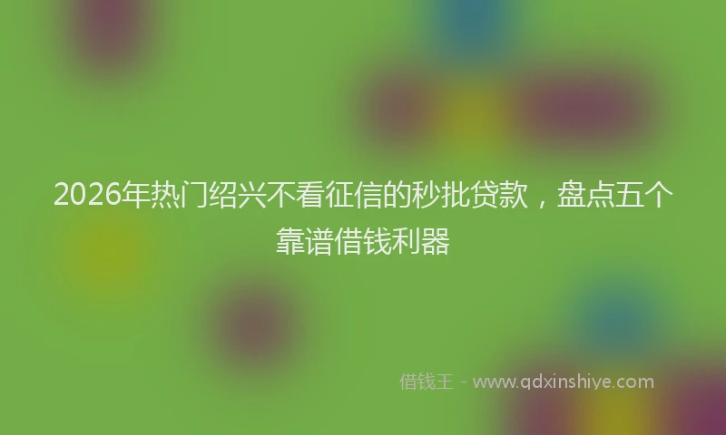 2026年热门绍兴不看征信的秒批贷款，盘点五个靠谱借钱利器