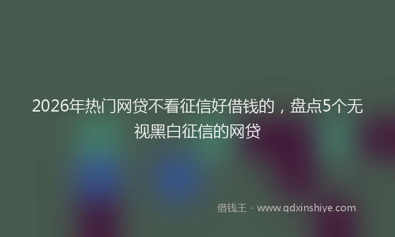 2026年热门网贷不看征信好借钱的，盘点5个无视黑白征信的网贷