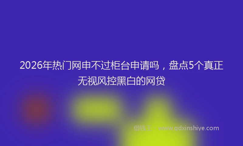 2026年热门网申不过柜台申请吗，盘点5个真正无视风控黑白的网贷