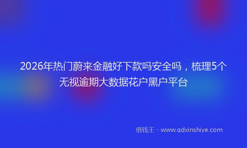2026年热门蔚来金融好下款吗安全吗,梳理5个无视逾期大数据花户黑户平台