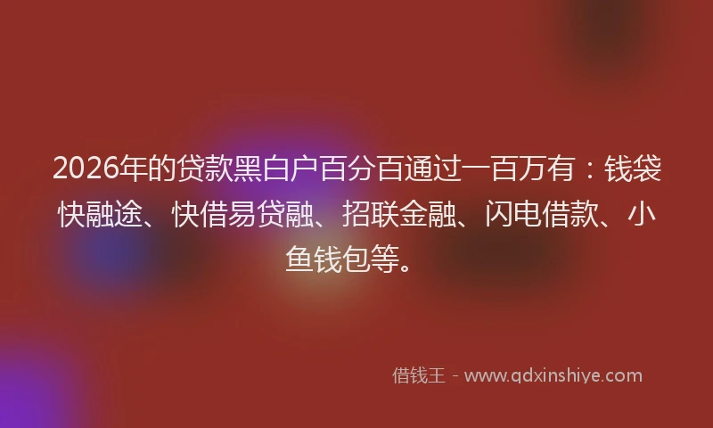 2026年的贷款黑白户百分百通过一百万有：钱袋快融途、快借易贷融、招联金融、闪电借款、小鱼钱包等。