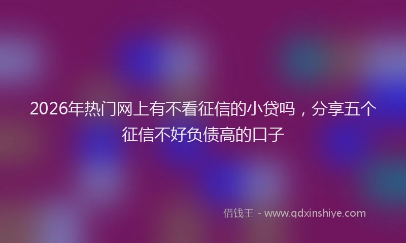 2026年热门网上有不看征信的小贷吗,分享五个征信不好负债高的口子