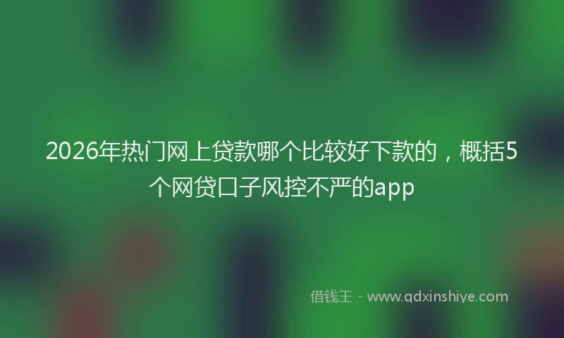 2026年热门网上贷款哪个比较好下款的，概括5个网贷口子风控不严的app