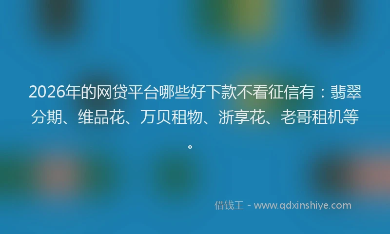 2026年的网贷平台哪些好下款不看征信有：翡翠分期、维品花、万贝租物、浙享花、老哥租机等。