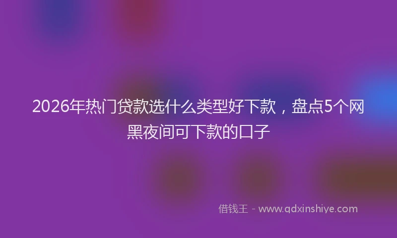 2026年热门贷款选什么类型好下款，盘点5个网黑夜间可下款的口子