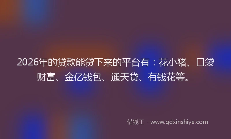 2026年的贷款能贷下来的平台有：花小猪、口袋财富、金亿钱包、通天贷、有钱花等。