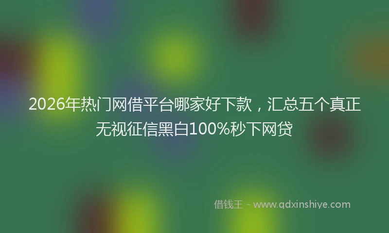 2026年热门网借平台哪家好下款，汇总五个真正无视征信黑白100%秒下网贷