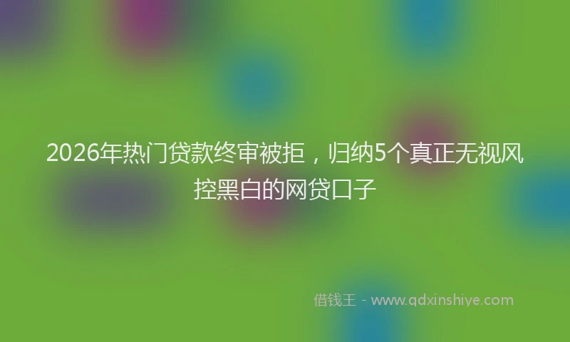 2026年热门贷款终审被拒，归纳5个真正无视风控黑白的网贷口子