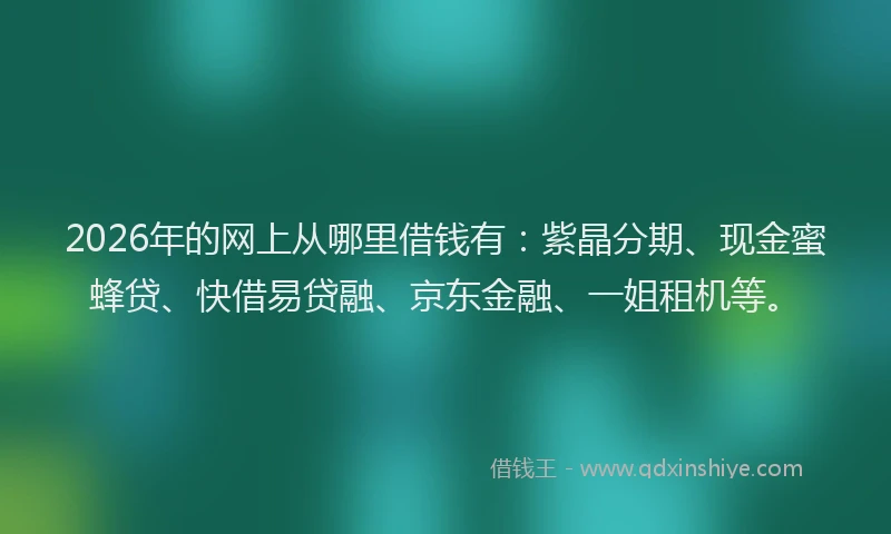 2026年的网上从哪里借钱有：紫晶分期、现金蜜蜂贷、快借易贷融、京东金融、一姐租机等。