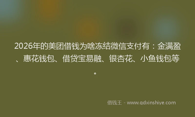 2026年的美团借钱为啥冻结微信支付有：金满盈、惠花钱包、借贷宝易融、银杏花、小鱼钱包等。