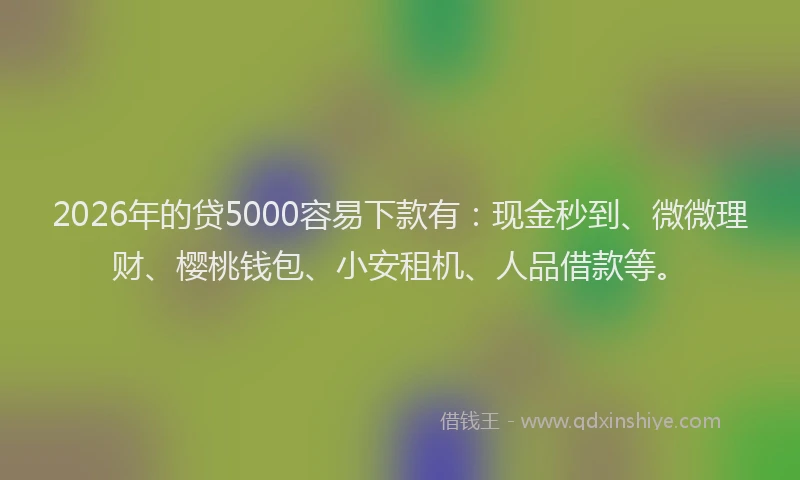 2026年的贷5000容易下款有：现金秒到、微微理财、樱桃钱包、小安租机、人品借款等。