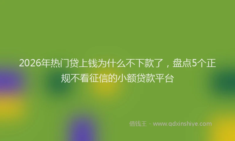 2026年热门贷上钱为什么不下款了，盘点5个正规不看征信的小额贷款平台