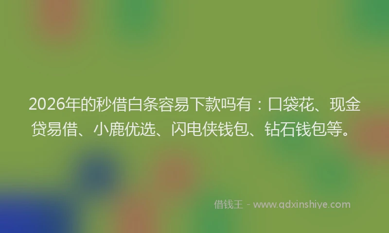 2026年的秒借白条容易下款吗有：口袋花、现金贷易借、小鹿优选、闪电侠钱包、钻石钱包等。