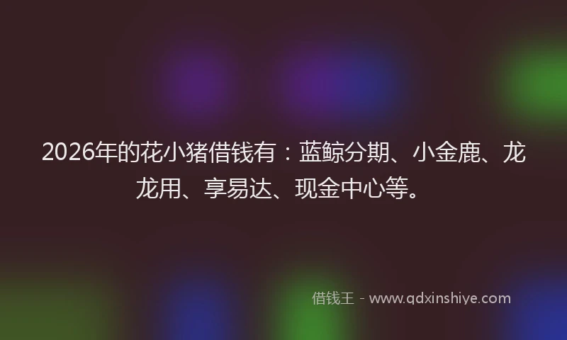 2026年的花小猪借钱有：蓝鲸分期、小金鹿、龙龙用、享易达、现金中心等。