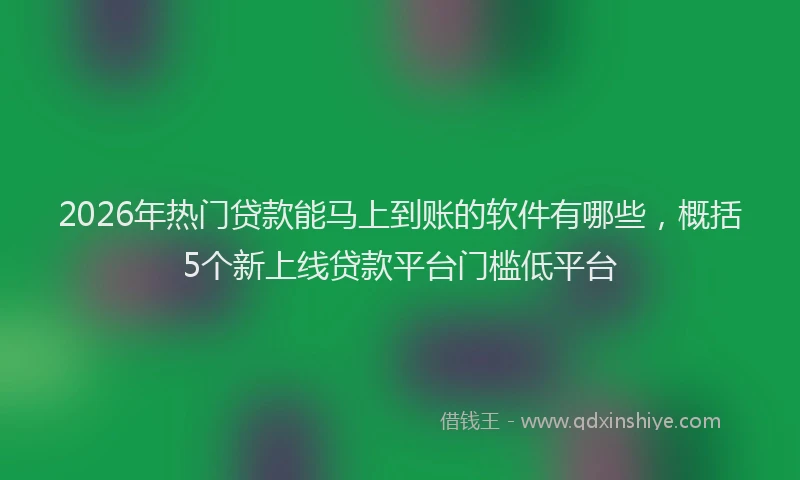 2026年热门贷款能马上到账的软件有哪些，概括5个新上线贷款平台门槛低平台