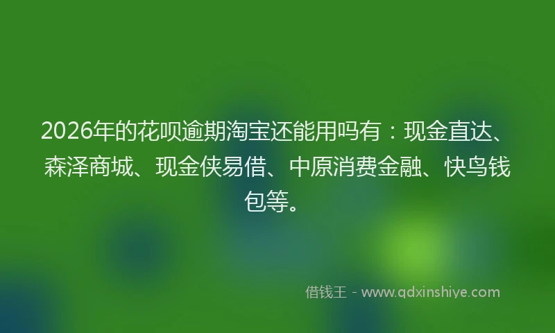 2026年的花呗逾期淘宝还能用吗有：现金直达、森泽商城、现金侠易借、中原消费金融、快鸟钱包等。