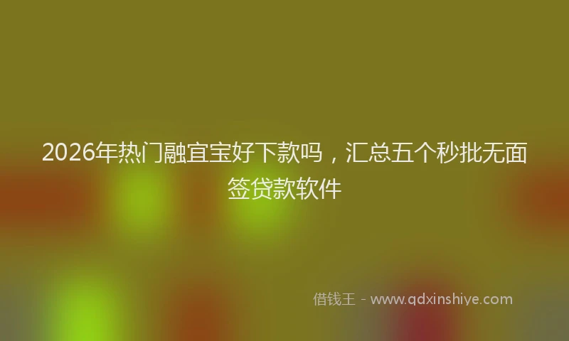 2026年热门融宜宝好下款吗，汇总五个秒批无面签贷款软件