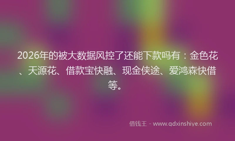 2026年的被大数据风控了还能下款吗有：金色花、天源花、借款宝快融、现金侠途、爱鸿森快借等。