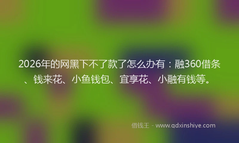 2026年的网黑下不了款了怎么办有:融360借条、钱来花、小鱼钱包、宜享花、小融有钱等。