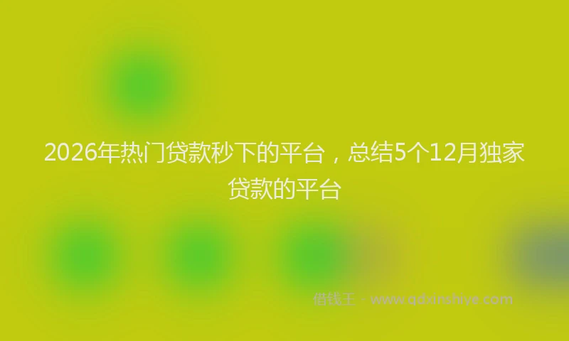2026年热门贷款秒下的平台，总结5个12月独家贷款的平台