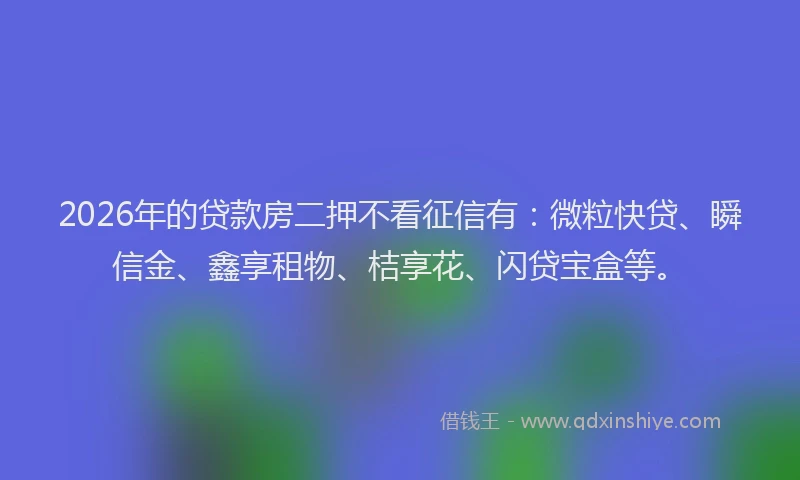2026年的贷款房二押不看征信有：微粒快贷、瞬信金、鑫享租物、桔享花、闪贷宝盒等。