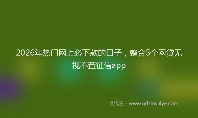 2026年热门网上必下款的口子，整合5个网贷无视不查征信app