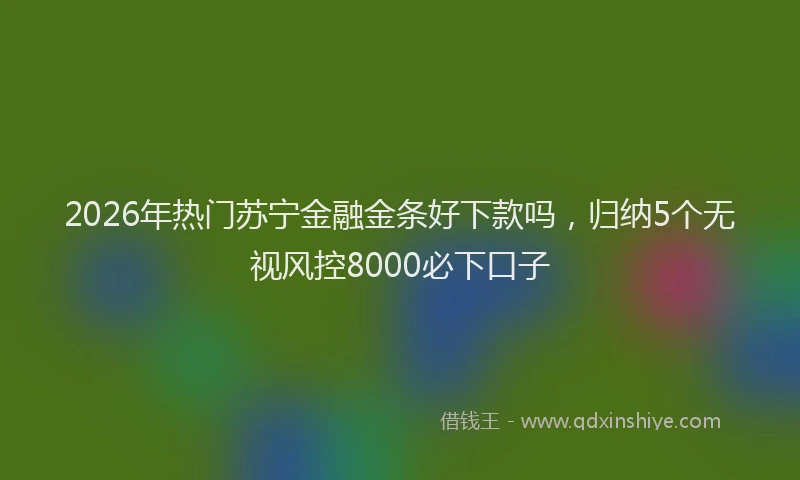 2026年热门苏宁金融金条好下款吗，归纳5个无视风控8000必下口子