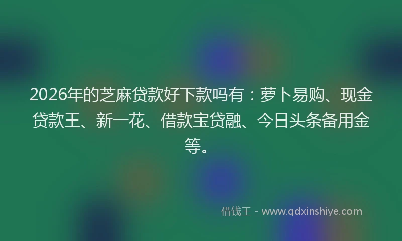 2026年的芝麻贷款好下款吗有：萝卜易购、现金贷款王、新一花、借款宝贷融、今日头条备用金等。