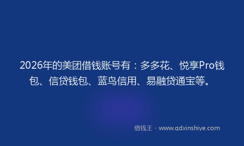 2026年的美团借钱账号有：多多花、悦享Pro钱包、信贷钱包、蓝鸟信用、易融贷通宝等。