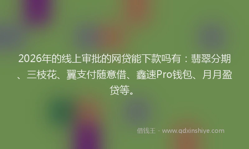 2026年的线上审批的网贷能下款吗有：翡翠分期、三枝花、翼支付随意借、鑫速Pro钱包、月月盈贷等。