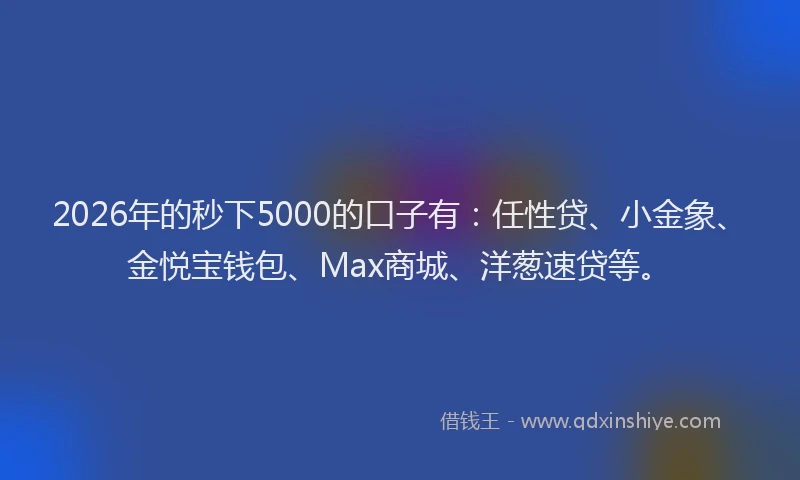 2026年的秒下5000的口子有：任性贷、小金象、金悦宝钱包、Max商城、洋葱速贷等。