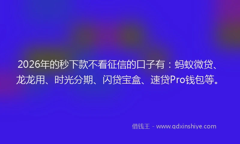 2026年的秒下款不看征信的口子有：蚂蚁微贷、龙龙用、时光分期、闪贷宝盒、速贷Pro钱包等。