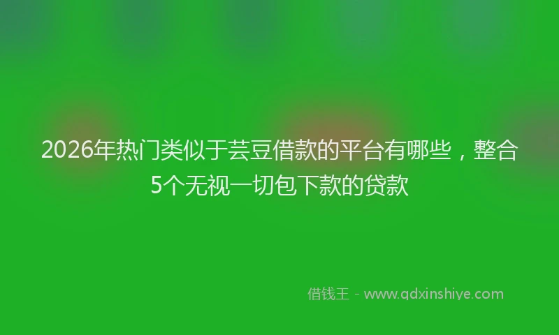2026年热门类似于芸豆借款的平台有哪些，整合5个无视一切包下款的贷款