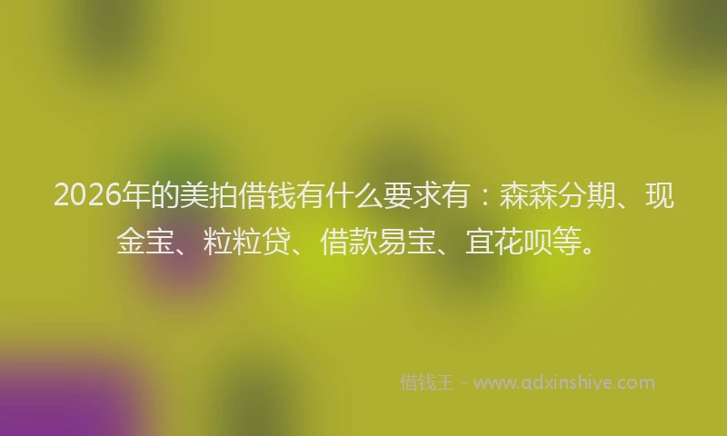 2026年的美拍借钱有什么要求有：森森分期、现金宝、粒粒贷、借款易宝、宜花呗等。
