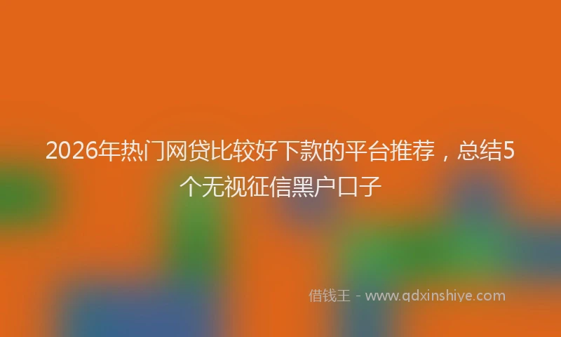 2026年热门网贷比较好下款的平台推荐，总结5个无视征信黑户口子
