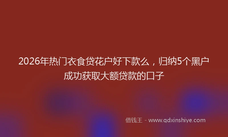 2026年热门衣食贷花户好下款么，归纳5个黑户成功获取大额贷款的口子