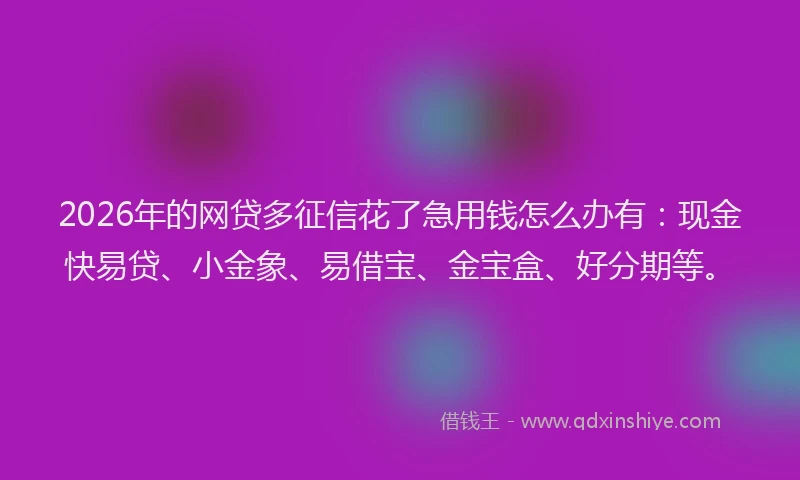 2026年的网贷多征信花了急用钱怎么办有:现金快易贷、小金象、易借宝、金宝盒、好分期等。