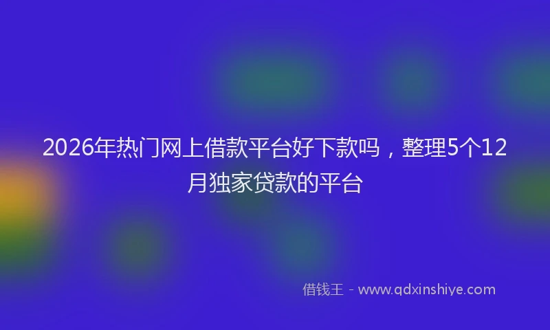 2026年热门网上借款平台好下款吗，整理5个12月独家贷款的平台