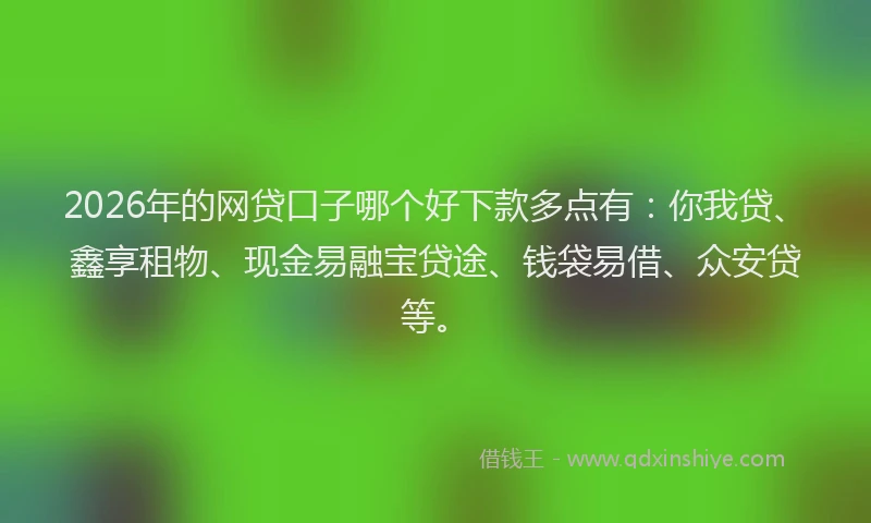 2026年的网贷口子哪个好下款多点有：你我贷、鑫享租物、现金易融宝贷途、钱袋易借、众安贷等。
