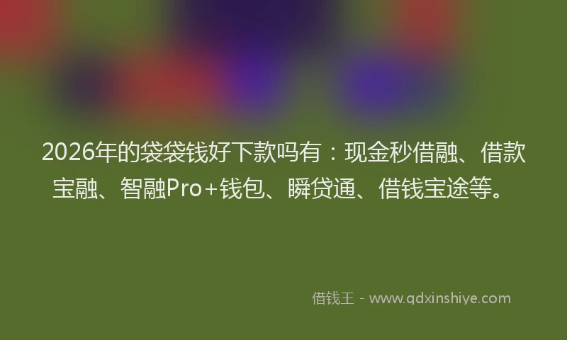 2026年的袋袋钱好下款吗有：现金秒借融、借款宝融、智融Pro+钱包、瞬贷通、借钱宝途等。