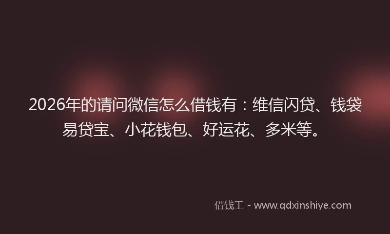 2026年的请问微信怎么借钱有:维信闪贷、钱袋易贷宝、小花钱包、好运花、多米等。