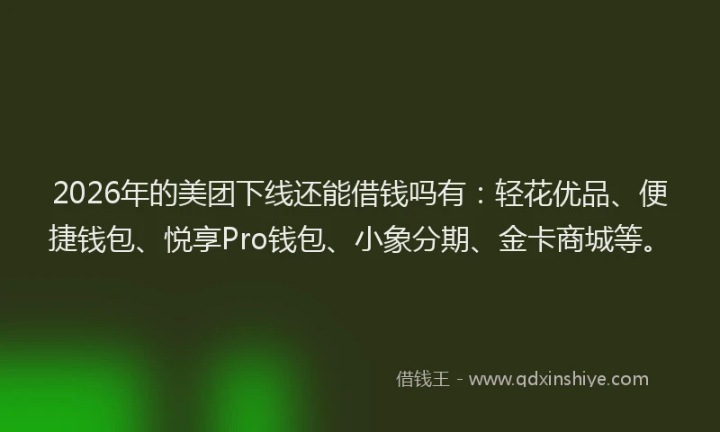 2026年的美团下线还能借钱吗有：轻花优品、便捷钱包、悦享Pro钱包、小象分期、金卡商城等。