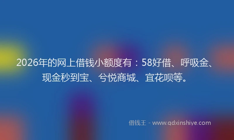 2026年的网上借钱小额度有：58好借、呼吸金、现金秒到宝、兮悦商城、宜花呗等。