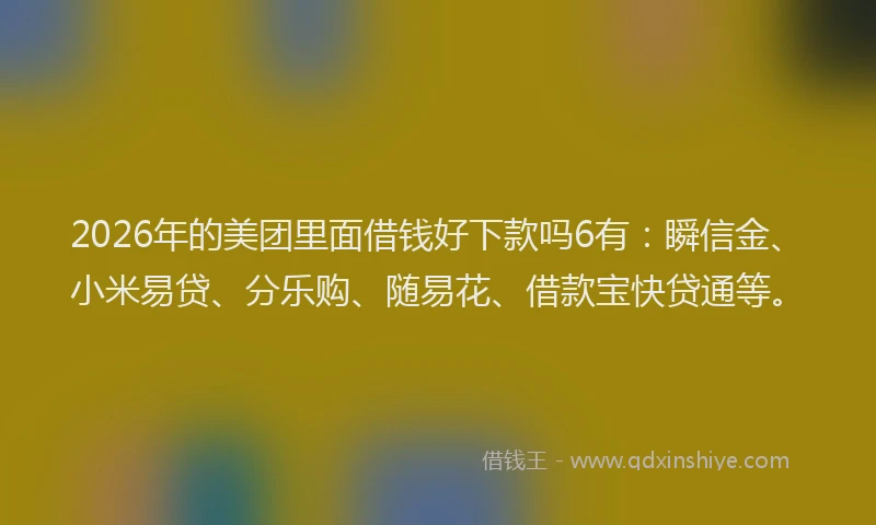 2026年的美团里面借钱好下款吗6有：瞬信金、小米易贷、分乐购、随易花、借款宝快贷通等。