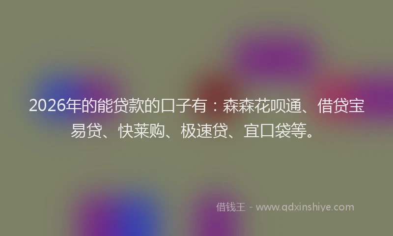2026年的能贷款的口子有：森森花呗通、借贷宝易贷、快莱购、极速贷、宜口袋等。