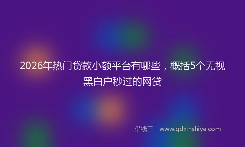 2026年热门贷款小额平台有哪些，概括5个无视黑白户秒过的网贷