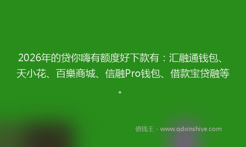 2026年的贷你嗨有额度好下款有：汇融通钱包、天小花、百樂商城、信融Pro钱包、借款宝贷融等。