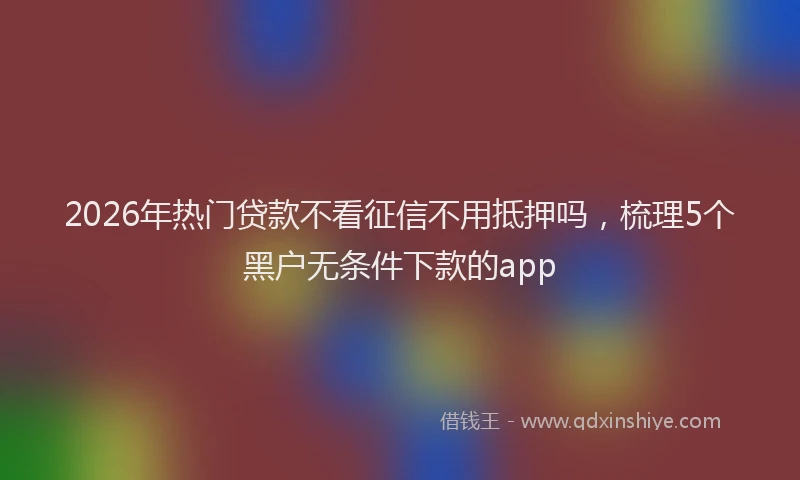 2026年热门贷款不看征信不用抵押吗，梳理5个黑户无条件下款的app