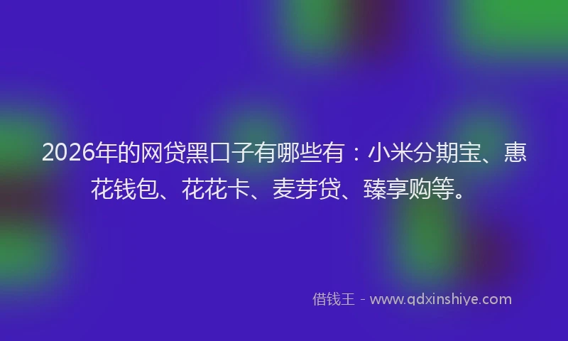 2026年的网贷黑口子有哪些有：小米分期宝、惠花钱包、花花卡、麦芽贷、臻享购等。