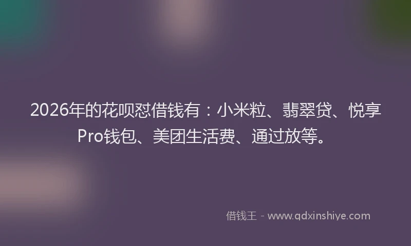 2026年的花呗怼借钱有：小米粒、翡翠贷、悦享Pro钱包、美团生活费、通过放等。